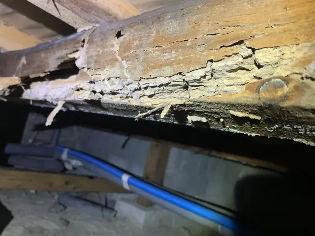 無資格の業者が多い中、白蟻防除防除施工士による100%施工で絶対的安心！サービスの画像