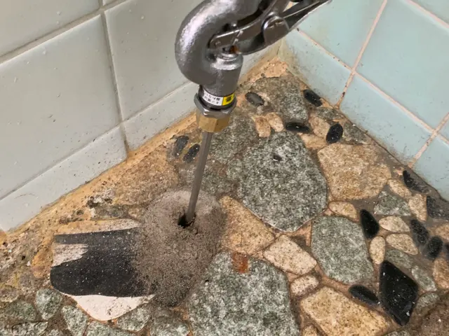 無資格の業者が多い中、白蟻防除防除施工士による100%施工で絶対的安心！サービスの画像