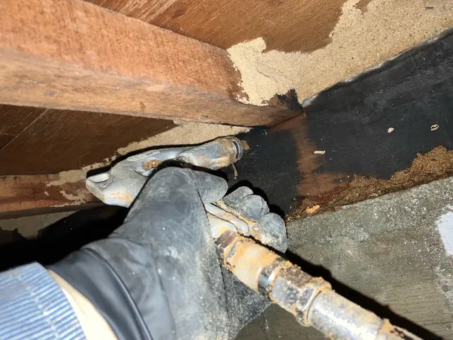 無資格の業者が多い中、白蟻防除防除施工士による100%施工で絶対的安心！サービスの画像