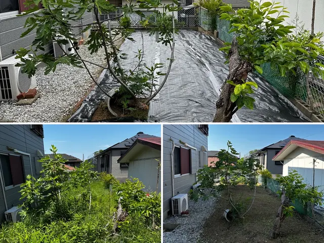 防草シート施行サービスの画像