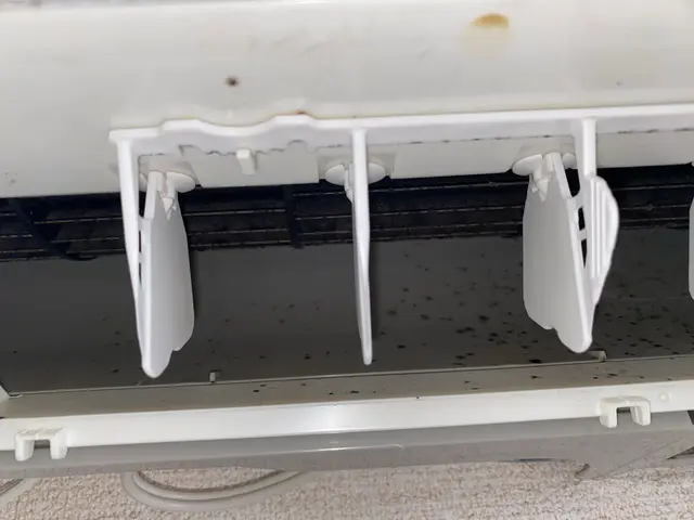 4年半の実績と女性スタッフ指定可！細やかな配慮で安心の自社スタッフによる丁寧作業サービスの画像