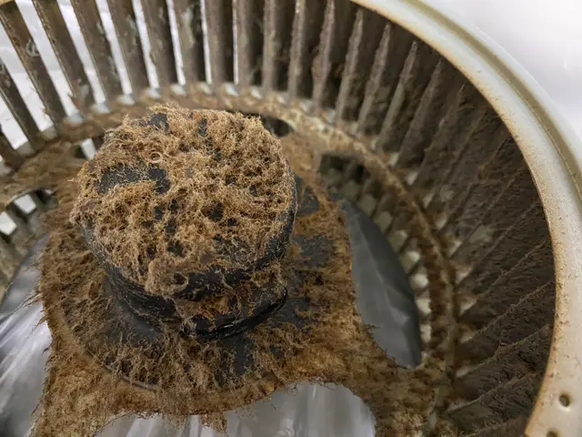 お得な2点セット♬キッチンクリーニングはプロにお任せで＾＾サービスの画像