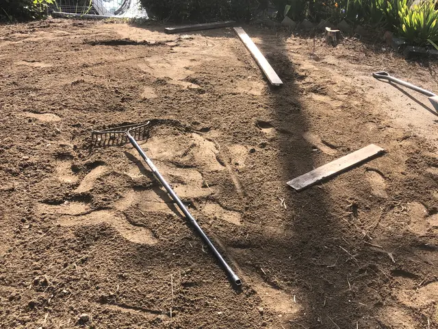 ◆◇12月新規出店◇◆お客様の期待に気持ちで応える！コミュニケーション◎サービスの画像