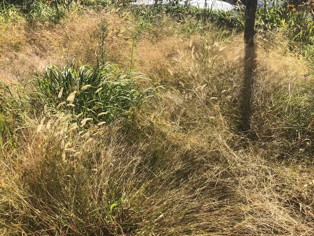 ◆◇12月新規出店◇◆お客様の期待に気持ちで応える！コミュニケーション◎サービスの画像