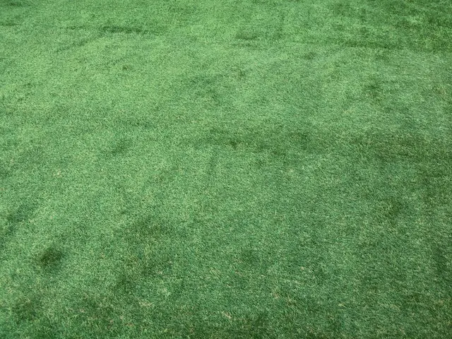 ◆◇12月新規出店◇◆お客様の期待に気持ちで応える！コミュニケーション◎サービスの画像