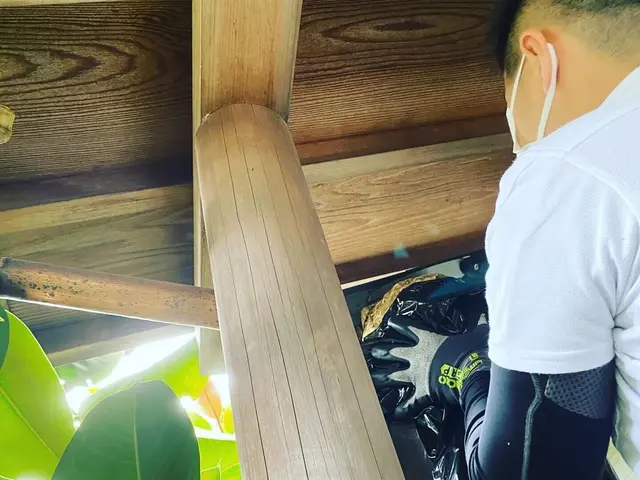 365日24時間営業★即日対応可能★ハチ駆除職人 3名体制です！高所◎クレカ◎サービスの画像