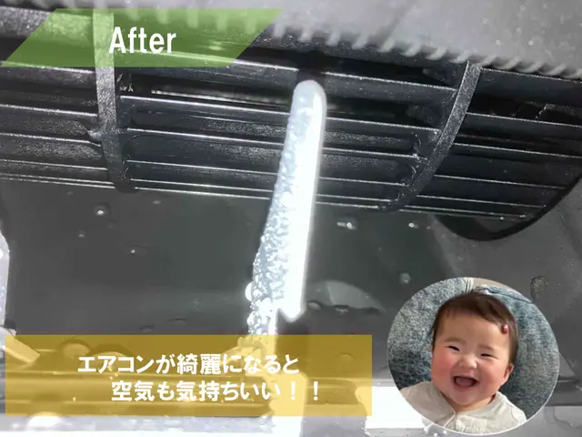 【黒カビ撃退】冷房使い終わりのタイミングでスッキリ洗浄！パーツも外してキレイに◎サービスの画像