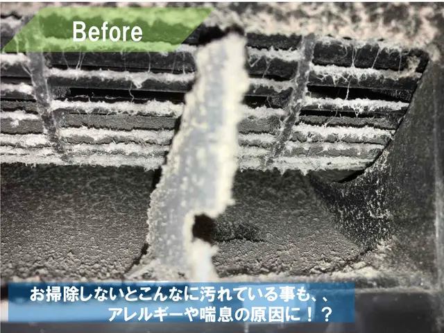 【黒カビ撃退】冷房使い終わりのタイミングでスッキリ洗浄！パーツも外してキレイに◎サービスの画像