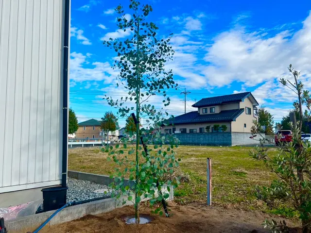【群馬県の植木屋】豊富な経験を持つプロの庭師がご相談から作業まですべて行います！サービスの画像