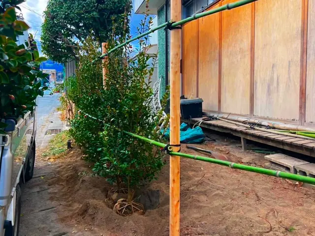 【群馬県の植木屋】豊富な経験を持つプロの庭師がご相談から作業まですべて行います！サービスの画像