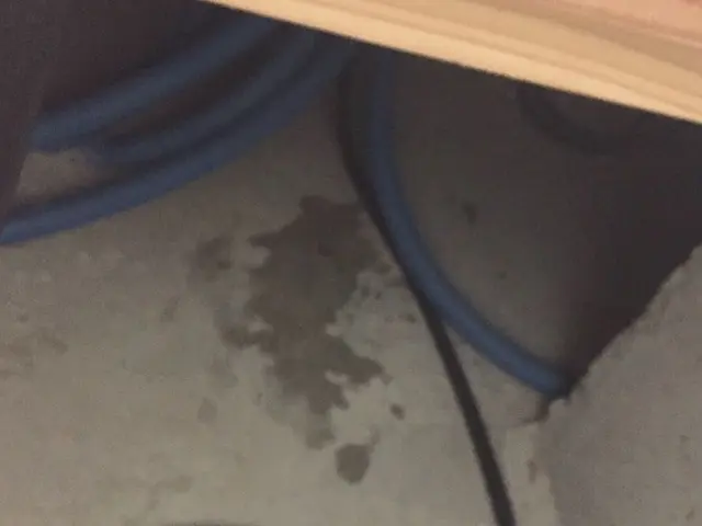 定期的にされていますか？喜ばれています床下の点検！サービスの画像