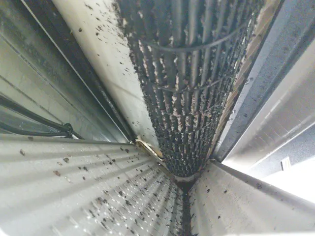 抗菌コート無料安心の保険加入！エアコン洗浄 天井埋込タイプ クレジット対応サービスの画像