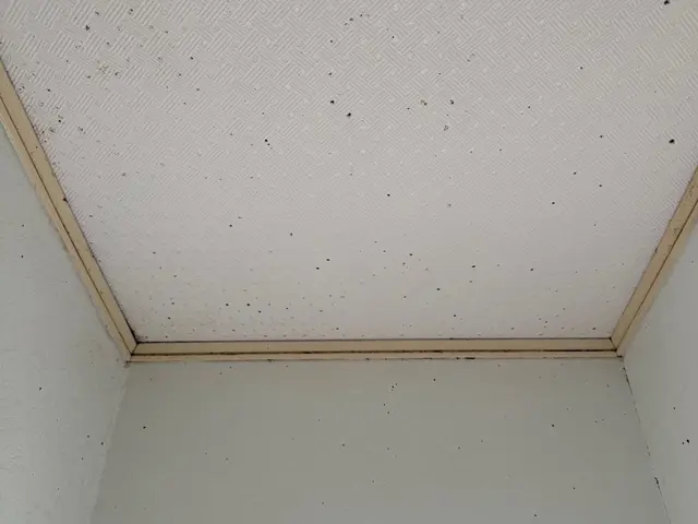 ◆佐倉市発◆女性スタッフ同行可能◎営業時間外も相談対応◎迅速丁寧に仕上げますサービスの画像