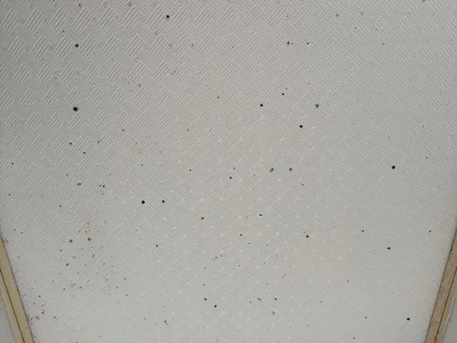 ◆佐倉市発◆女性スタッフ同行可能◎営業時間外も相談対応◎迅速丁寧に仕上げますサービスの画像