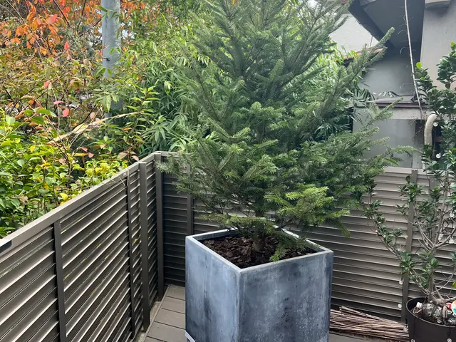 【業界歴25年の経験実績】全て自社対応◎一級造園技能士が在籍しています！サービスの画像