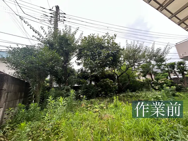 造園技能士保有の職人による植え込み・生垣の剪定◆横浜市サービスの画像