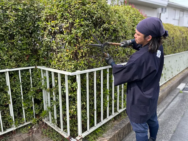 造園技能士保有の職人による植え込み・生垣の剪定◆横浜市サービスの画像