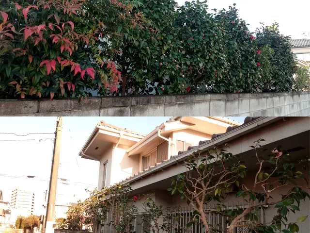 【植込・生垣剪定】群馬県内指定地域密着！作業外注一切なし！サービスの画像