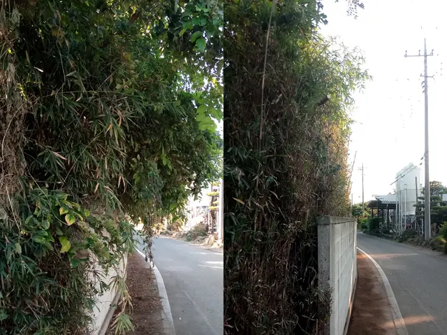 【植込・生垣剪定】群馬県内指定地域密着！作業外注一切なし！サービスの画像