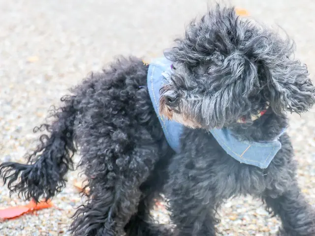 プロの技術でご満足いただけるように心を込めて撮影いたしますサービスの画像