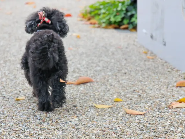 プロの技術でご満足いただけるように心を込めて撮影いたしますサービスの画像