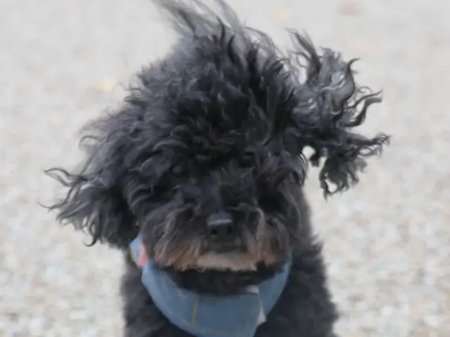 プロの技術でご満足いただけるように心を込めて撮影いたしますサービスの画像