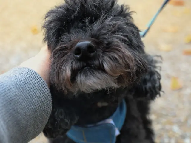 プロの技術でご満足いただけるように心を込めて撮影いたしますサービスの画像