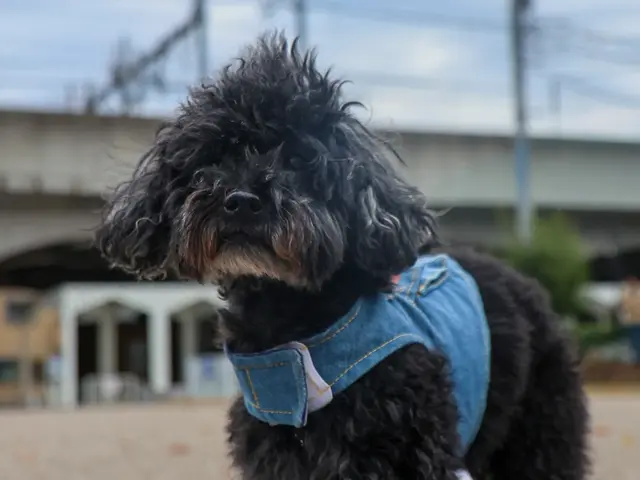 プロの技術でご満足いただけるように心を込めて撮影いたしますサービスの画像