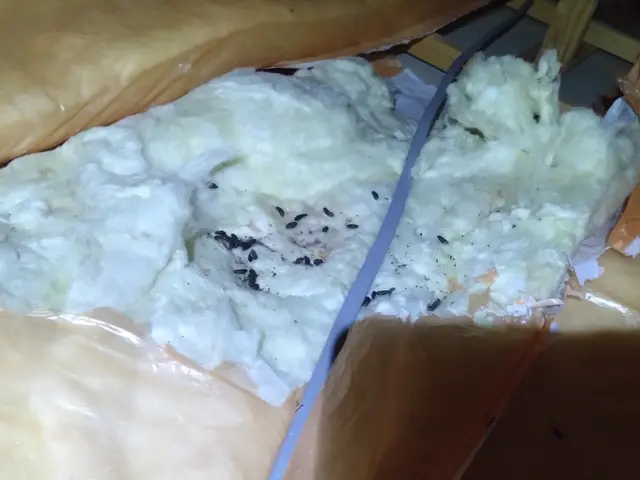 いすみ市から伺います！ねずみ駆除400件以上の実績で、お悩みを解決いたします。サービスの画像