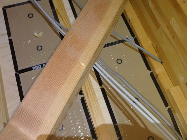 いすみ市から伺います！ねずみ駆除400件以上の実績で、お悩みを解決いたします。サービスの画像