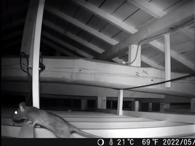 いすみ市から伺います！ねずみ駆除400件以上の実績で、お悩みを解決いたします。サービスの画像