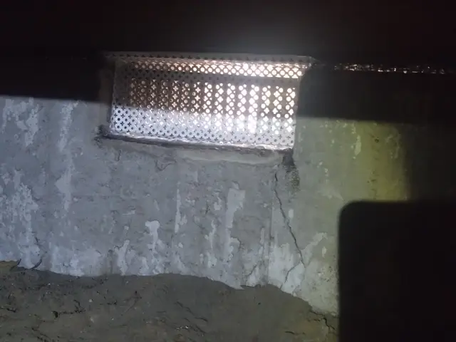 いすみ市から伺います！ねずみ駆除400件以上の実績で、お悩みを解決いたします。サービスの画像