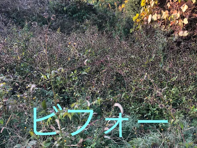 【業歴20年の実績】大垣市◎年中無休◎外注なし自社スタッフがお伺いしますサービスの画像