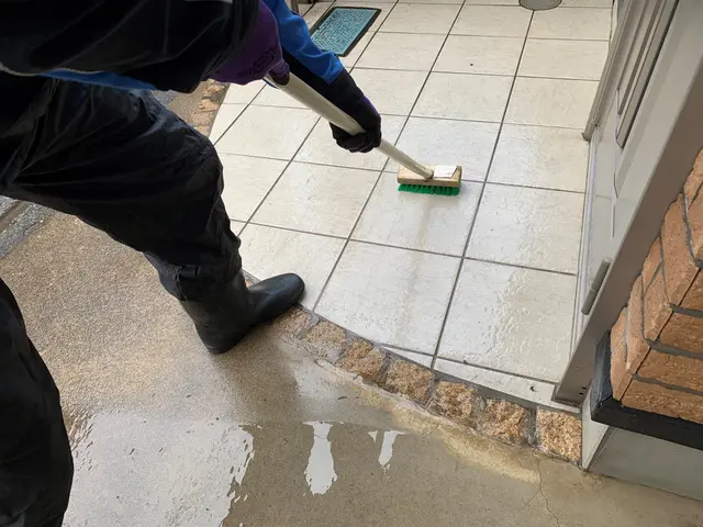 【玄関タイルクリーニング】丁寧作業でご好評いただいております！サービスの画像