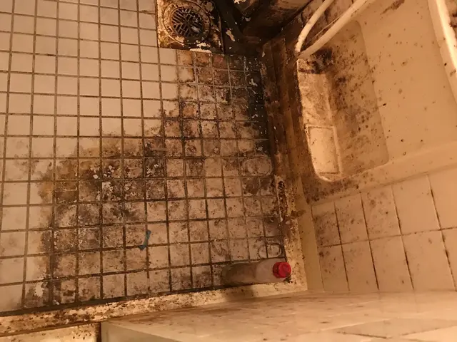 在宅清掃専門店！熟練スタッフ多数在籍☆サービスの画像