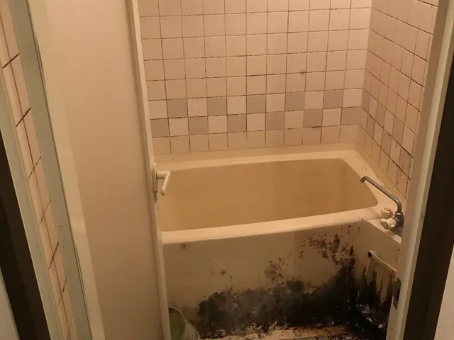 在宅清掃専門店！熟練スタッフ多数在籍☆サービスの画像