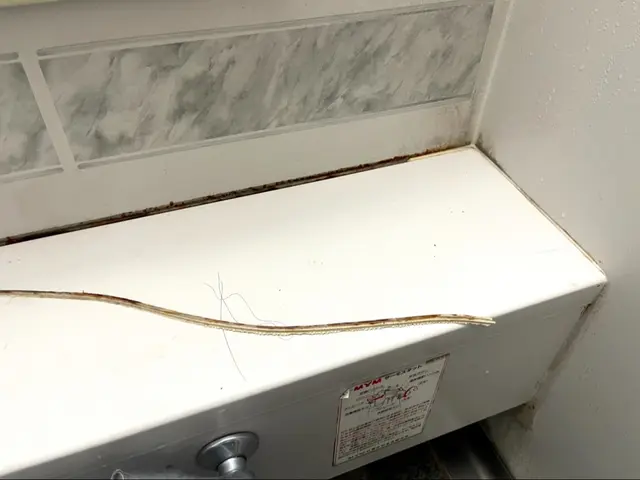 【損害保険加盟店】◉安心の法人店舗◉隅々まで美しく仕上げるプロのチームが訪問サービスの画像