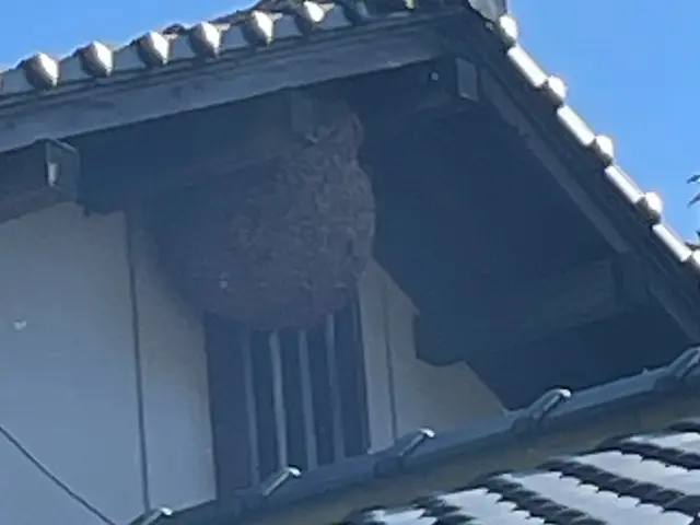 戻りバチ対策万全★年中無休★クレカOK★大分県各種自治体指定登録蜂駆除業者サービスの画像