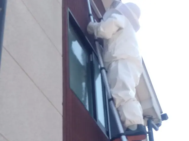 はちレスキューサービスの画像