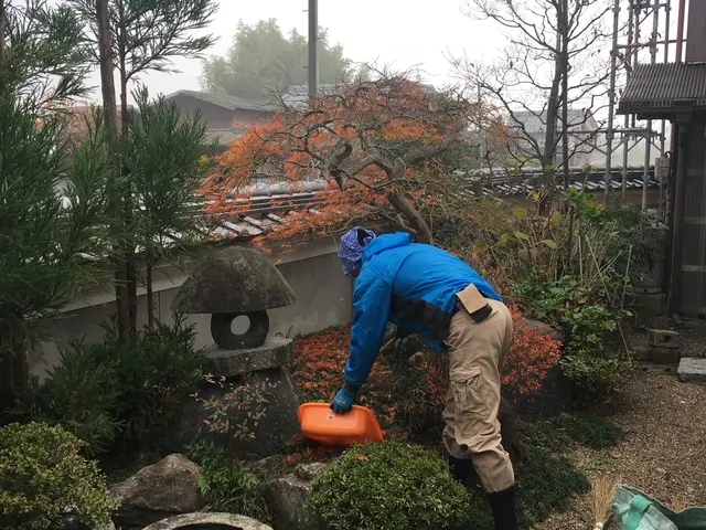 丁寧で安心と高評価です、お気軽にご依頼ください！サービスの画像