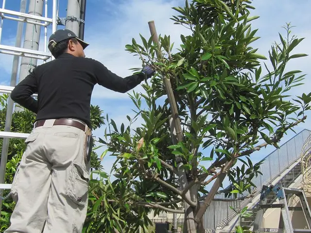 【年中無休で営業中です！】豊富な経験と知識で安心◆福井市から伺います◎サービスの画像