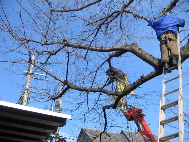 【年中無休で営業中です！】豊富な経験と知識で安心◆福井市から伺います◎サービスの画像