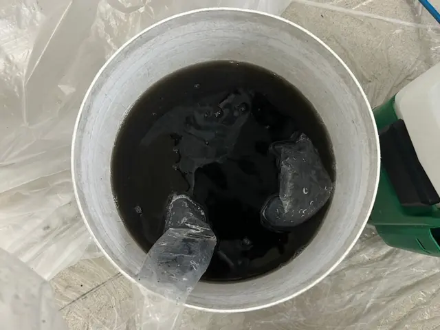 ★大掃除★丁寧作業で徹底洗浄♪ぜひとも私にお任せください！サービスの画像