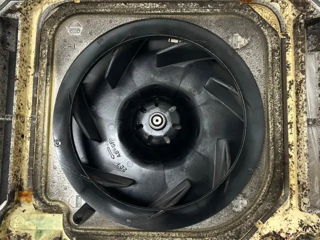 ★大掃除★丁寧作業で徹底洗浄♪ぜひとも私にお任せください！サービスの画像