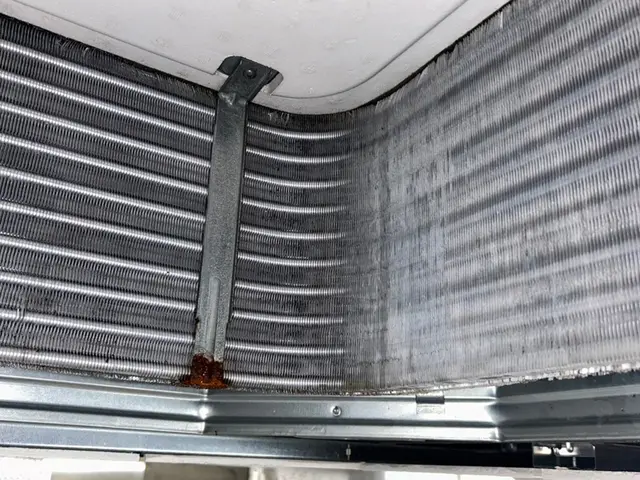 ★大掃除★丁寧作業で徹底洗浄♪ぜひとも私にお任せください！サービスの画像