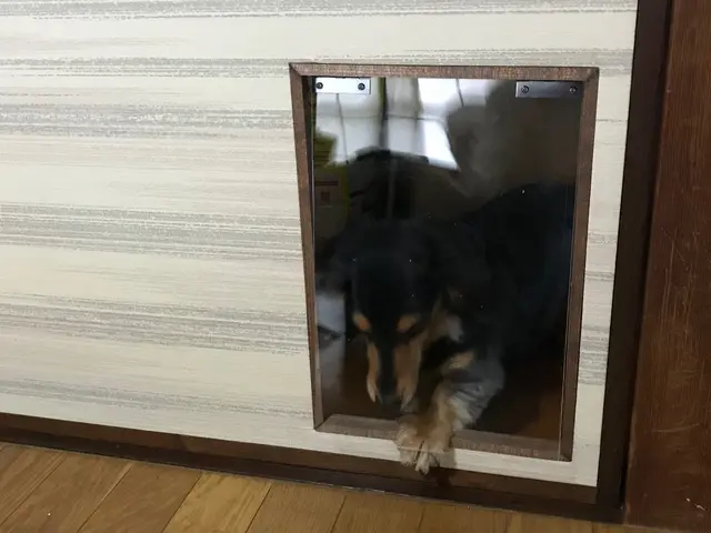 【下関市・北九州市 限定】創業70年 襖新調 張替 見本帳も豊富に御座います！サービスの画像