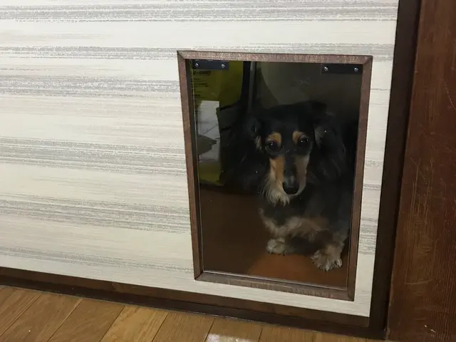 【下関市・北九州市 限定】創業70年 襖新調 張替 見本帳も豊富に御座います！サービスの画像