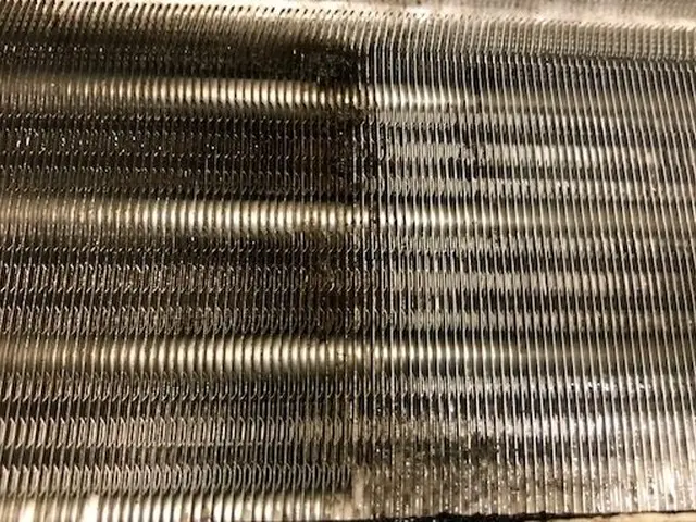 まだまだ猛暑。PayPay・クレジット他利用可。最短の作業可能日は11/4〜サービスの画像