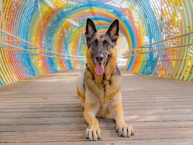 【お客様に寄り添った優しい撮影現場】お客様の魅力を120%表現します！サービスの画像