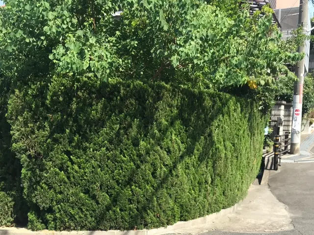 男女2人チームでお伺い！明るく親しみやすいスタッフが対応！サービスの画像